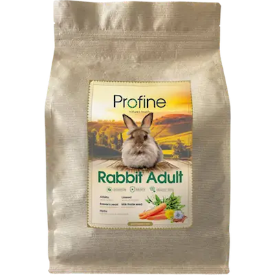 Animals Rabbit Adult 3kg