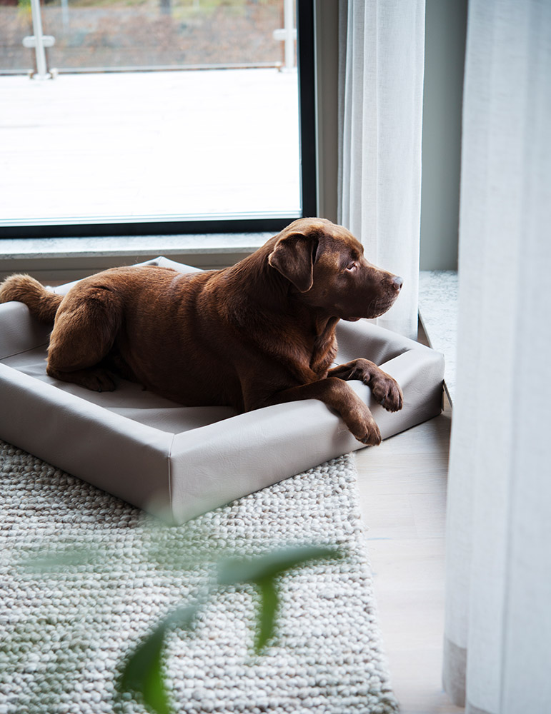 40T, 60T, 70T (3).jpg