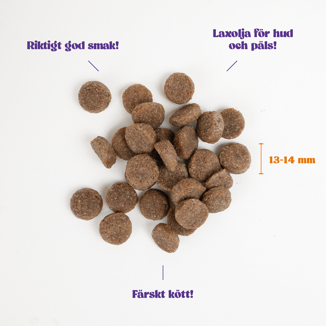 MfD Adult foderkula.png