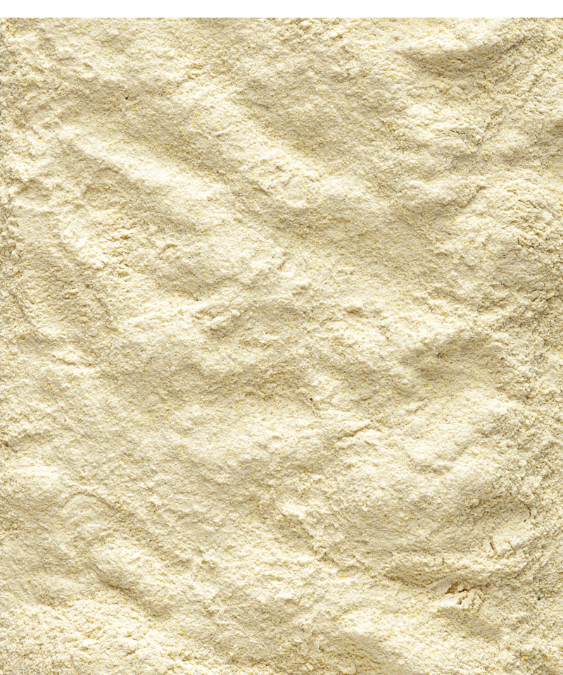 verselelaga_nutribird_a21_handrearing_foodmix_baby