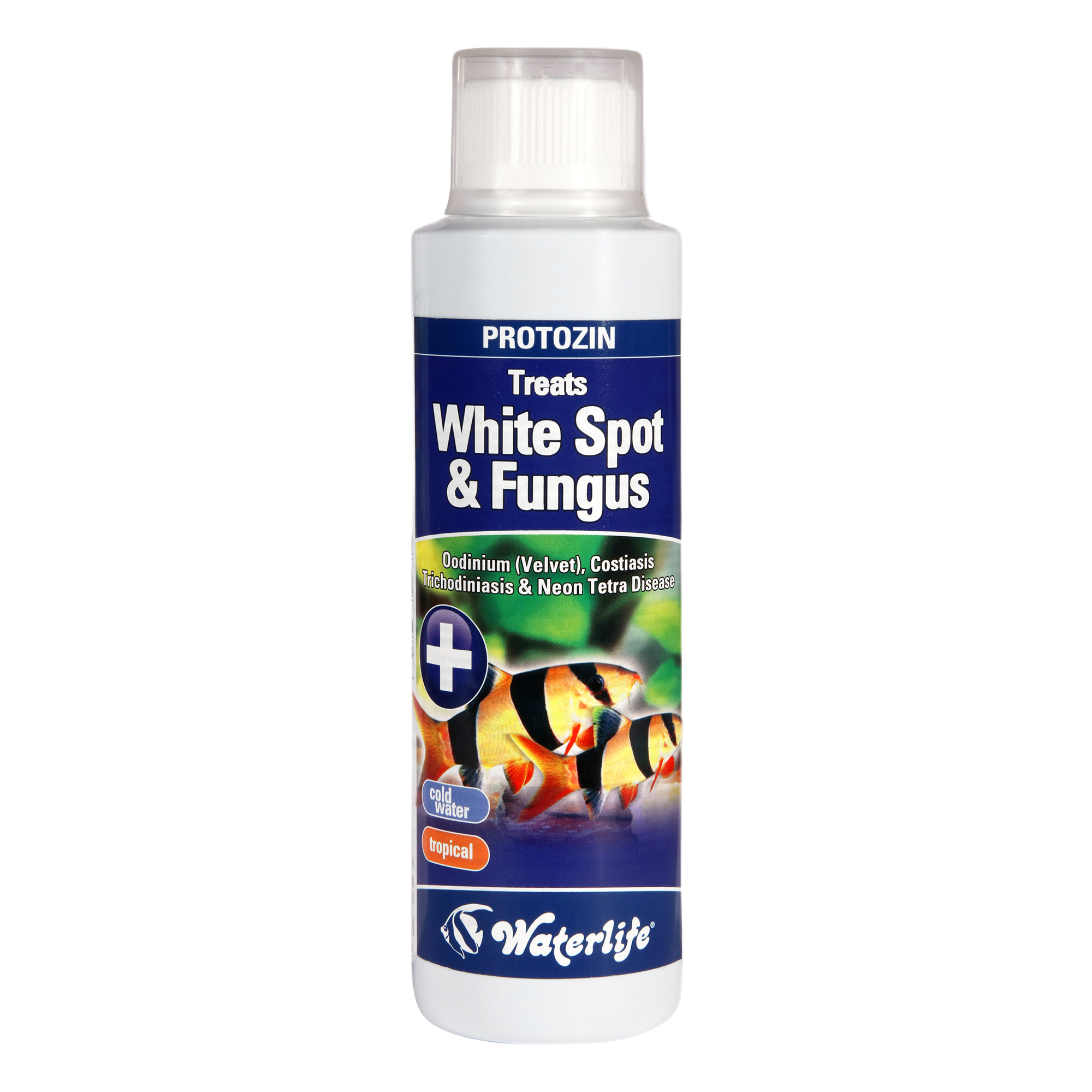 Waterlife - Protozin 250 ml - Akvaristik - Vattenpreparat för akvarium - Vattentester för akvarium - ZOO.se