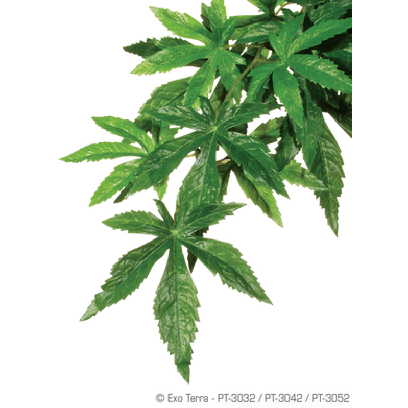 Abuliton (Silk) - Hanging Rainforest/Jungle Plants Green Medium - Reptil - Terrarieinredning - Terrarieväxter & Kaktusar - Exoterra - ZOO.se