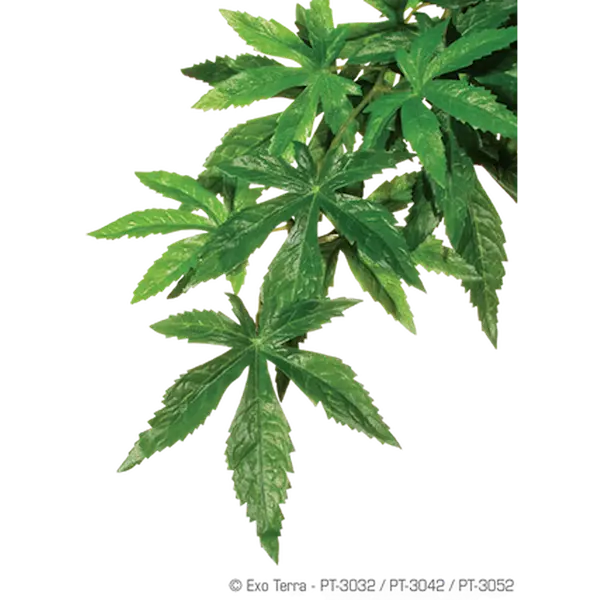 Abuliton (silke) - Hengende regnskog/jungelplanter grønn stor