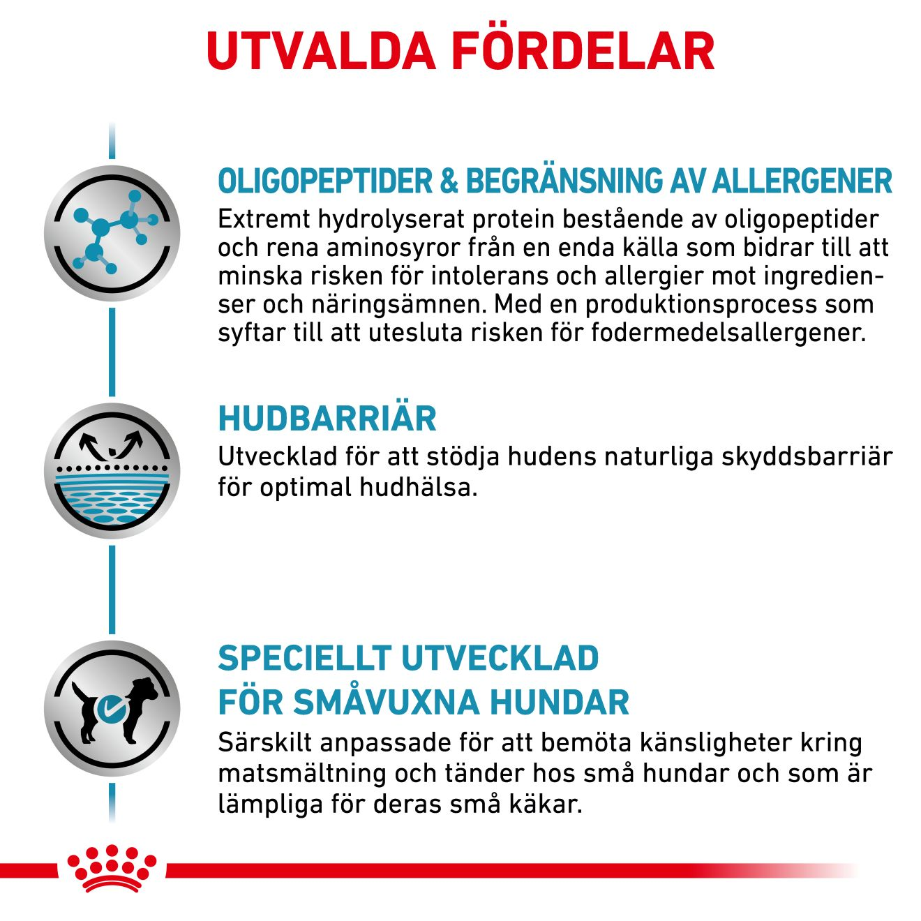 Derma Anallergenic Small Dog