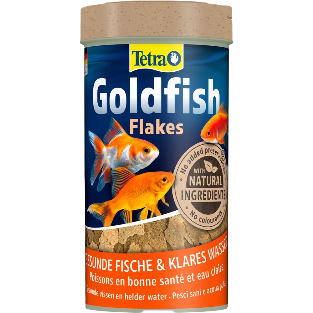 Tetra Goldfish