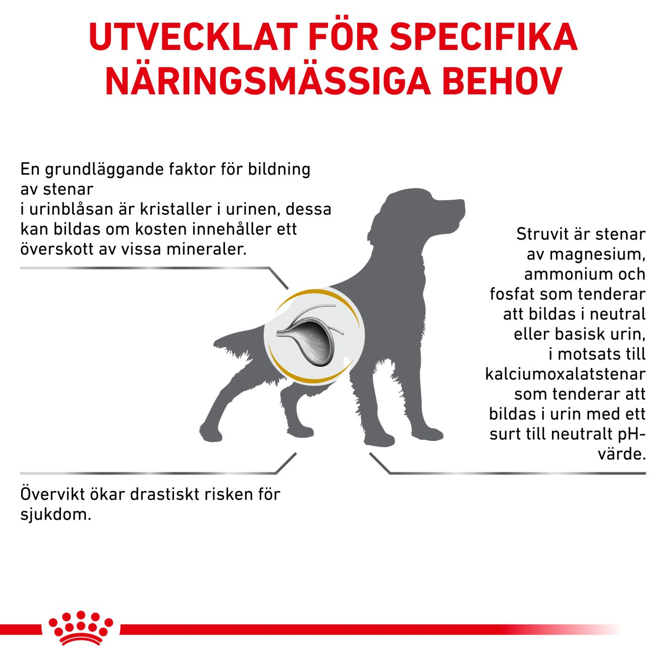 Urinary S/O Moderate Calorie