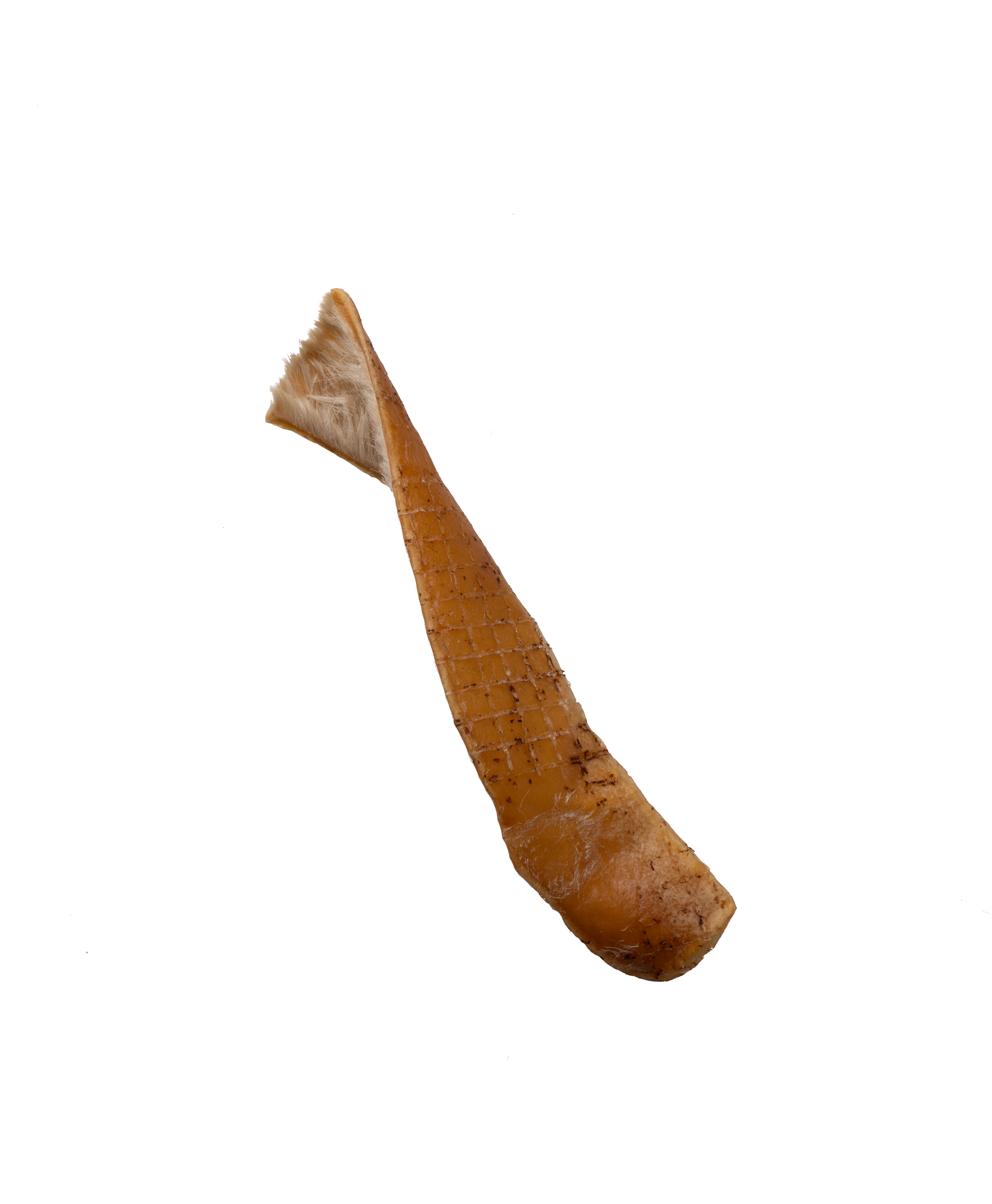 Hairy strips back.png