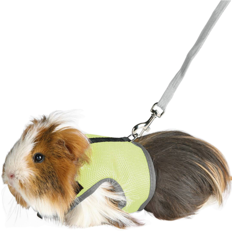 Trixie Myk, myk sele med bånd Guniea Pig Mix 18-25 cm