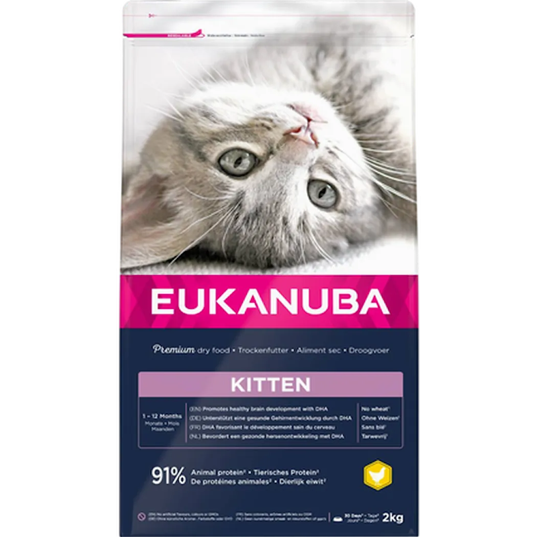 Eukanuba Cat Kitten Healthy Start