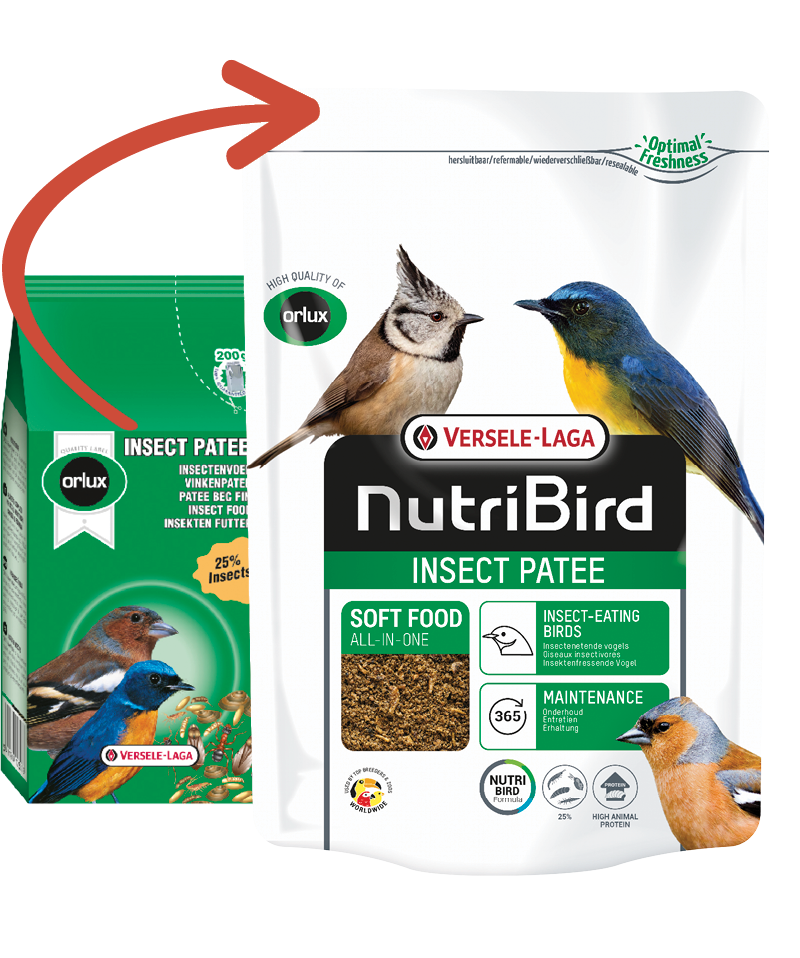verselelaga_nutribird_insectpatee_softfood_birds_a