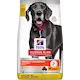 Adult Perfect Digestion Large Chicken & Rice - Dry Dog Food