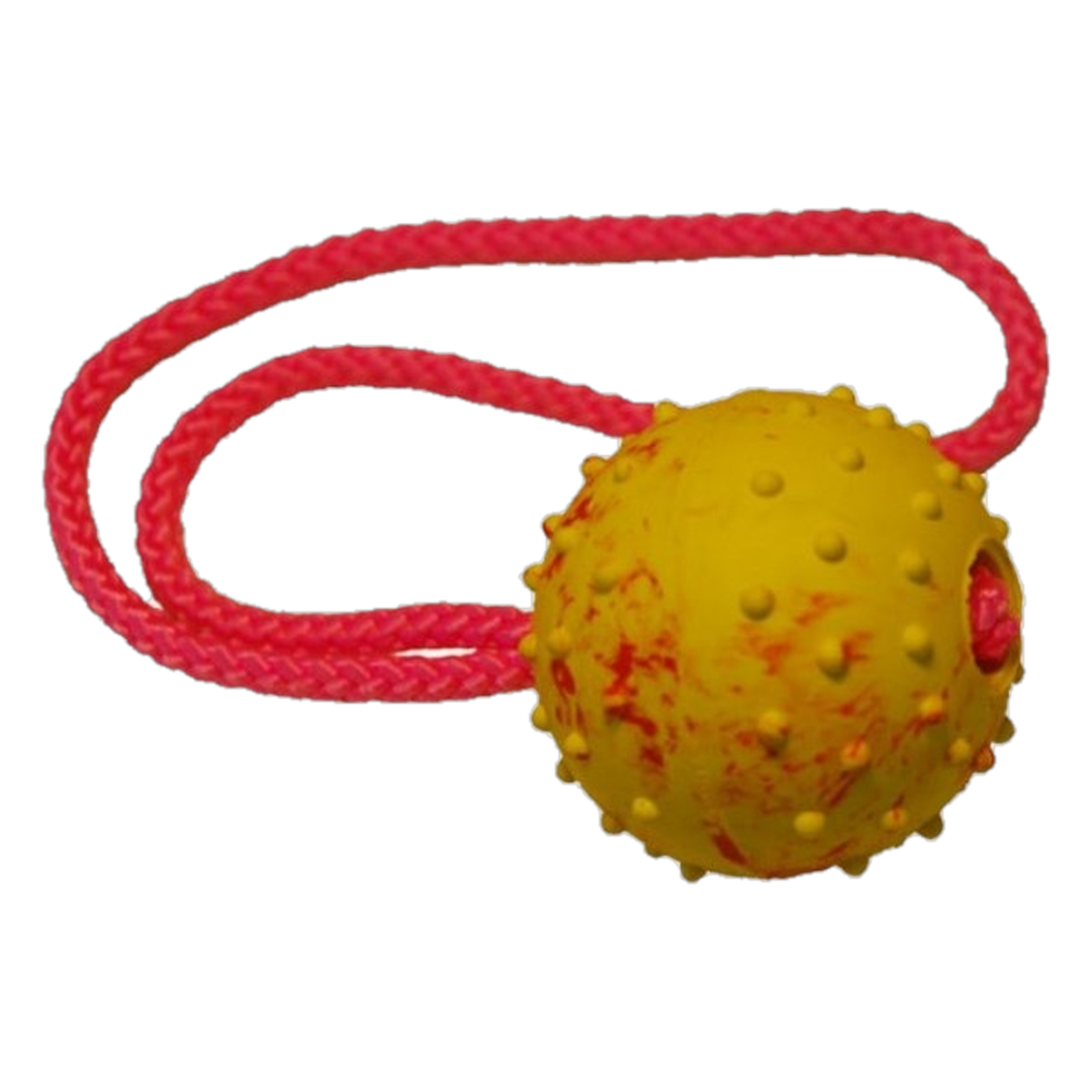 Träningsboll med Handtag Gummi 1 st