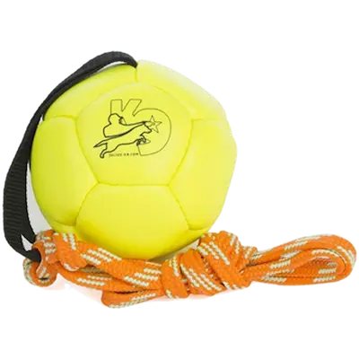 Show Traning Ball Dog Toy