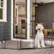 Carlson Pet Gate Outdoor Super Wide Extra Tall Pen With Small Pet Door Black 366 x 91,4 cm