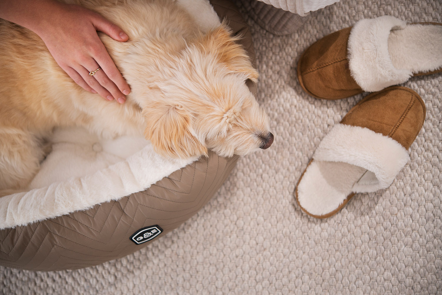 300011004, 300011005 (8).jpg