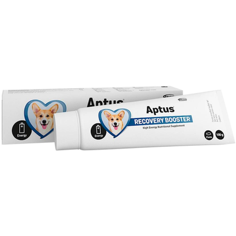 Aptus - Recovery Boost Dog Pasta 100 g - Hund - Hundvård & Tillskott - ZOO.se