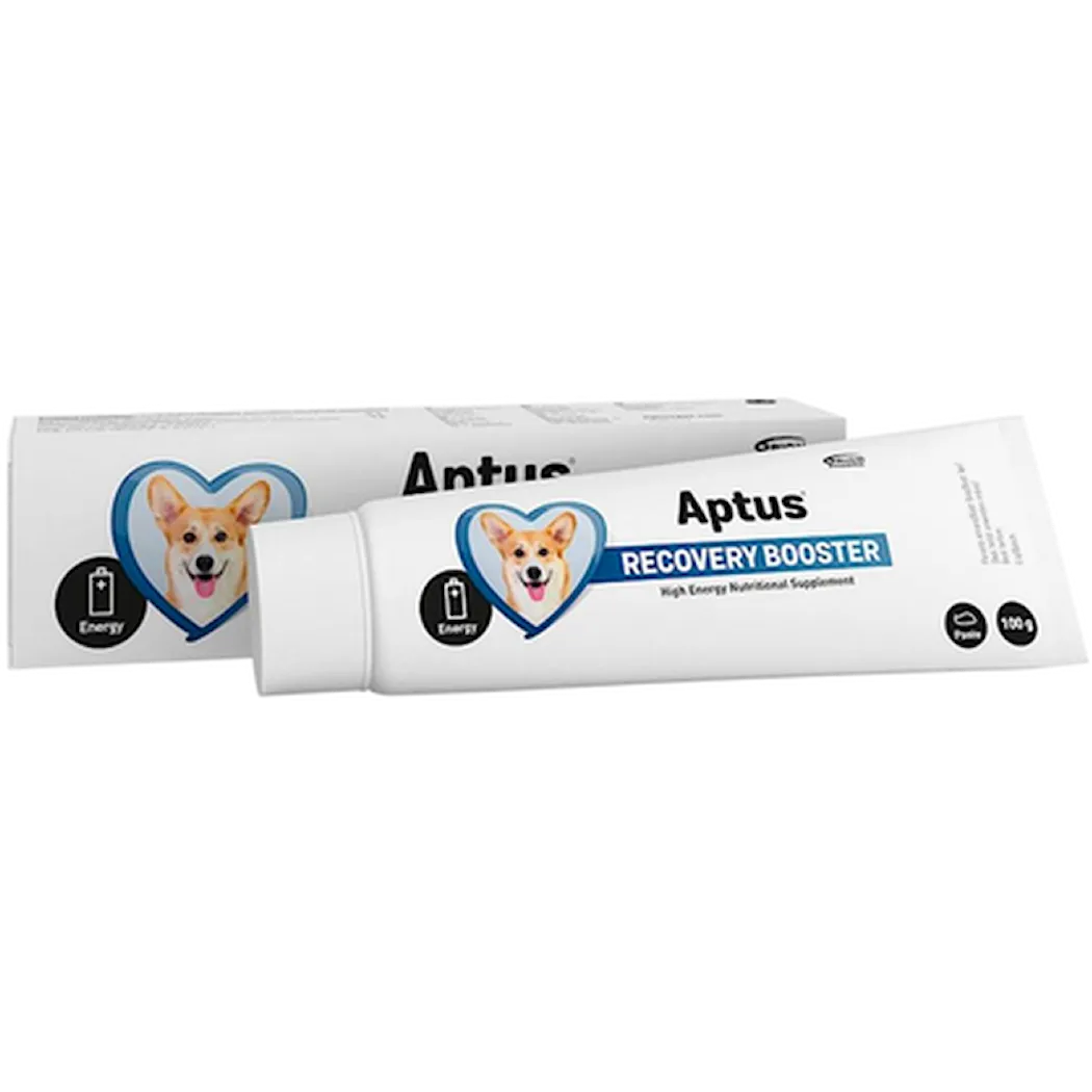Aptus Recovery Boost Dog Pasta 100 g