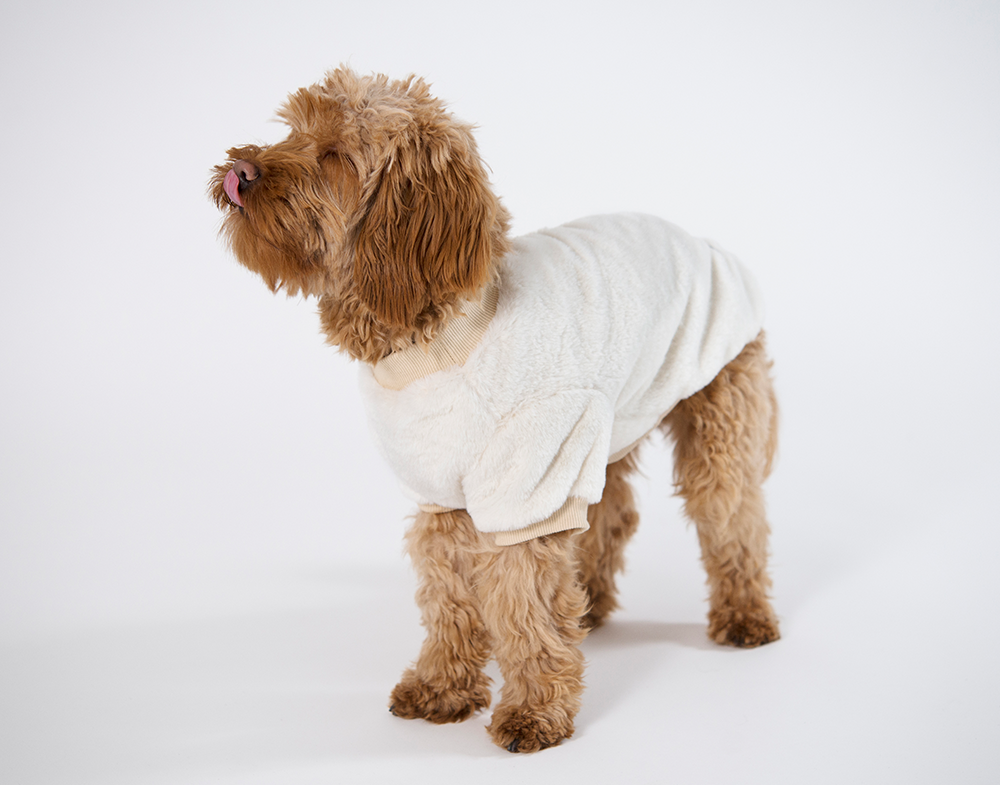 20545, 20546, 20547, 20548, 20549 (1).png