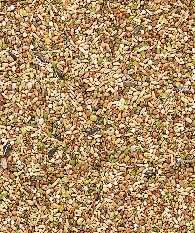 verselelaga_countrysbest_food_yummy_snack_gardenmi