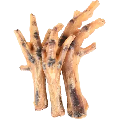 Dog Nature Snack Chicken Foot Natural