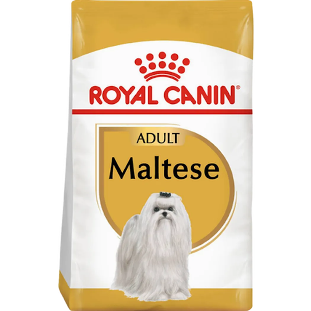 Breed Maltese Adult 1,5 kg