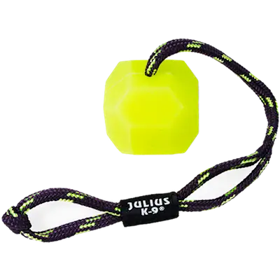 IDC Neon Fluorescent Ball Hard with Handle Dog Toy