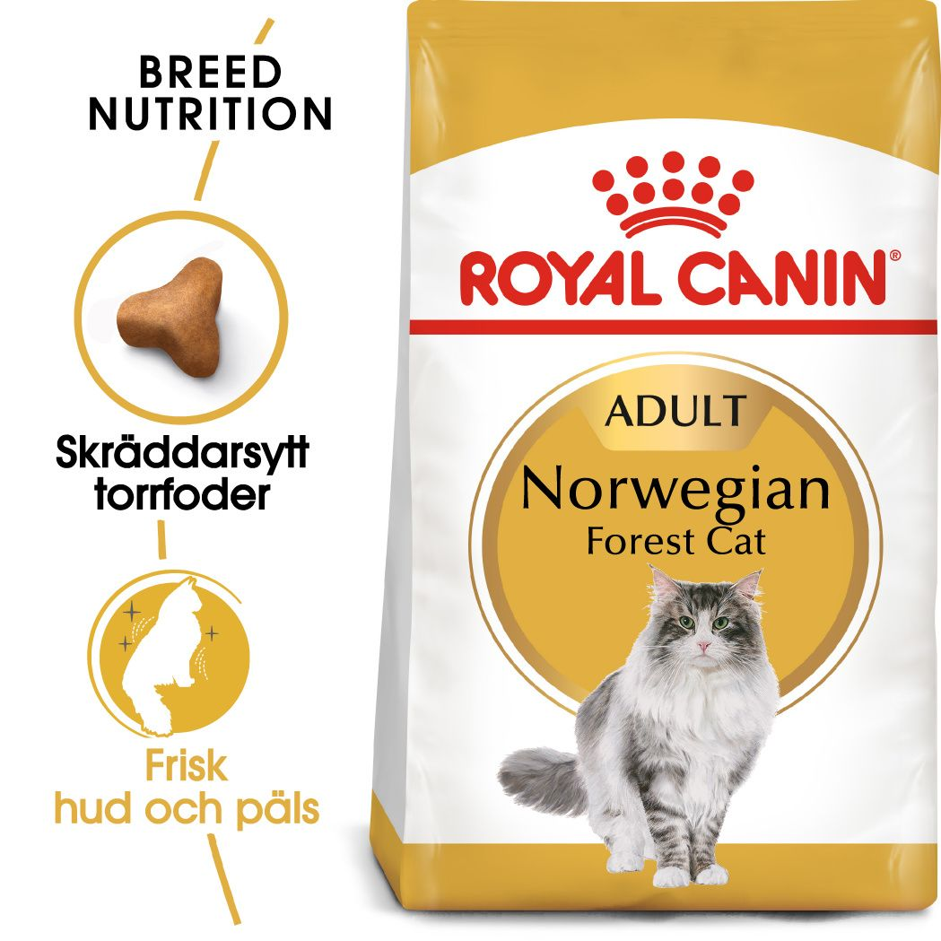 Norwegian Forest Adult Torrfoder för katt 2 kg