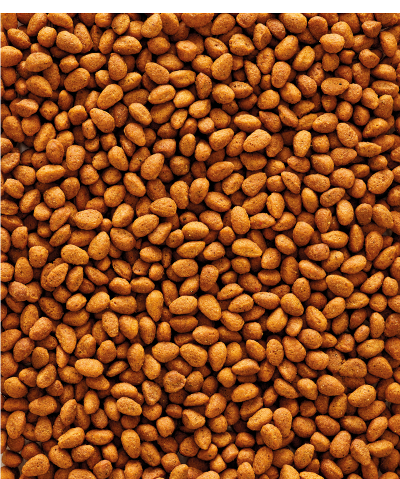 verselelaga_nutribird_g14_original_birds_pellets_a