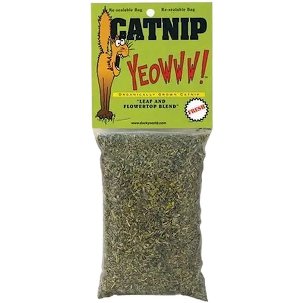 Catnip Organic Catnip