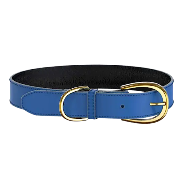 Colorful Collar Blue X-Small