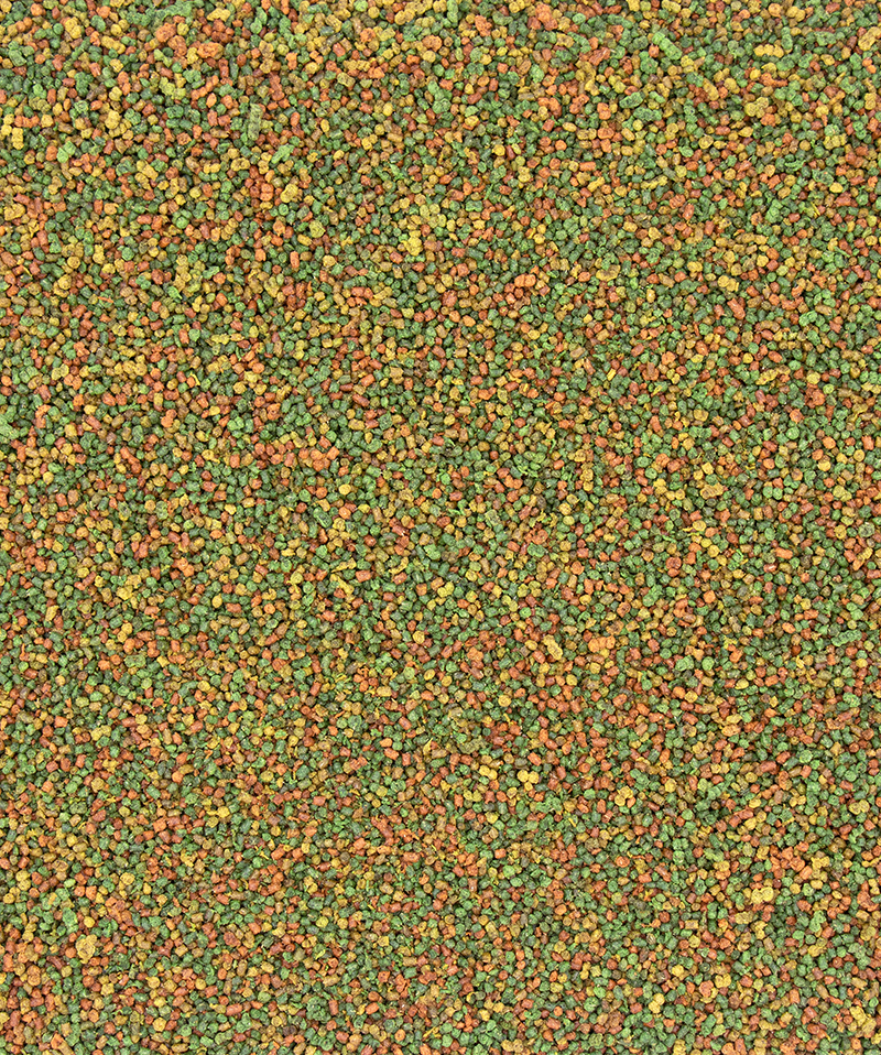 verselelaga_nutribird_c15_birds_pellets_allinone_c