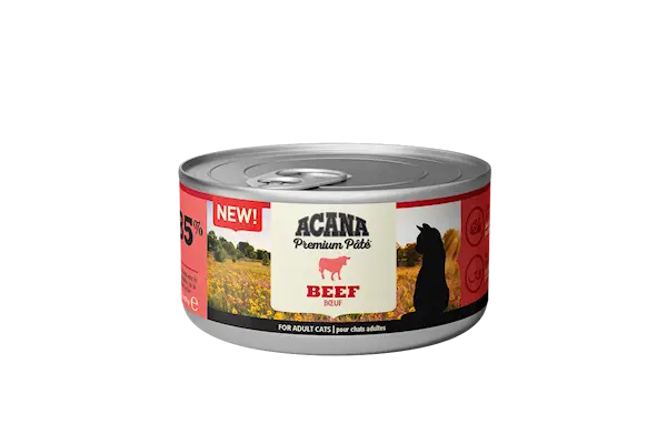 Cat Premium paté Beef