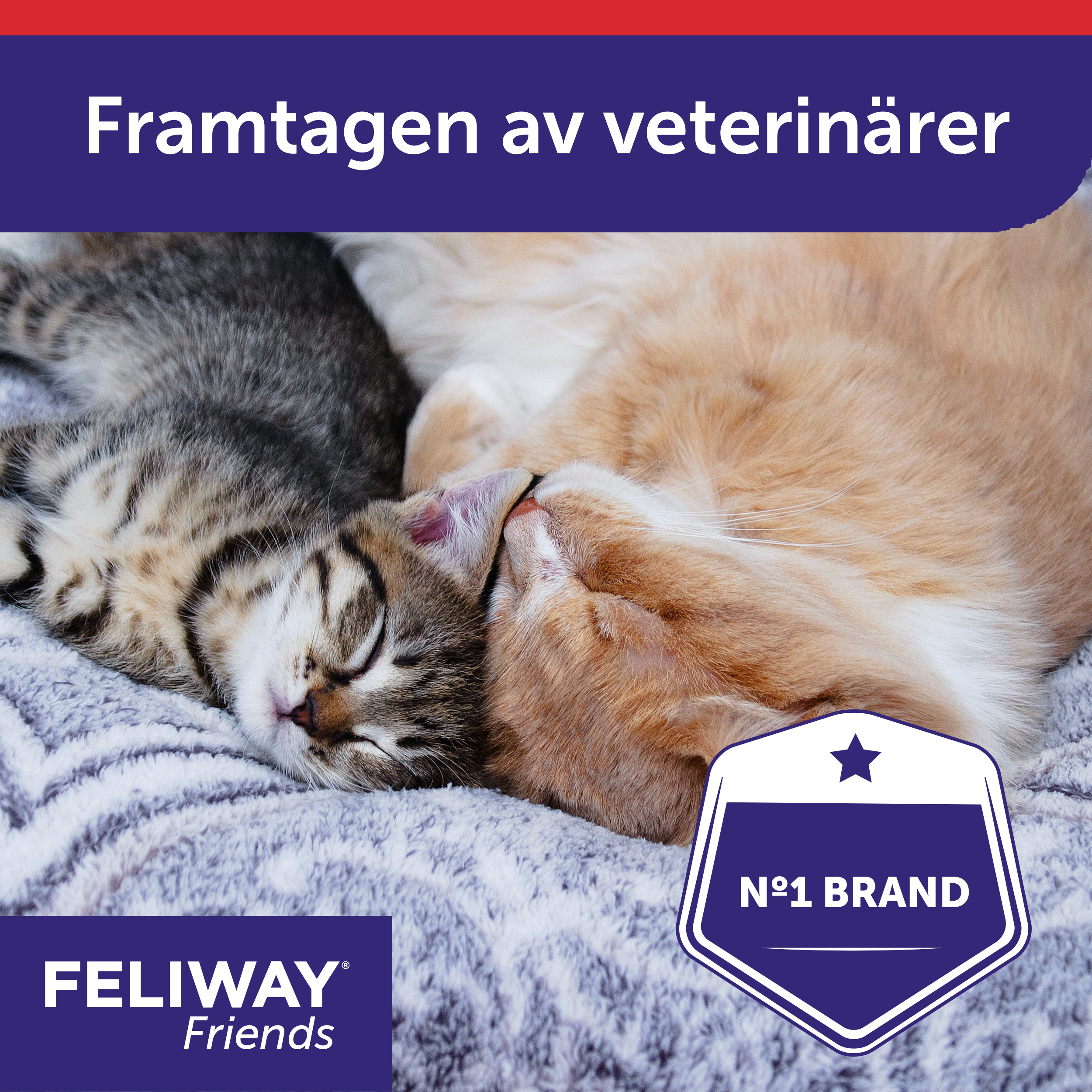 Feliway Friends doftavgivare_4_3411112251476.png