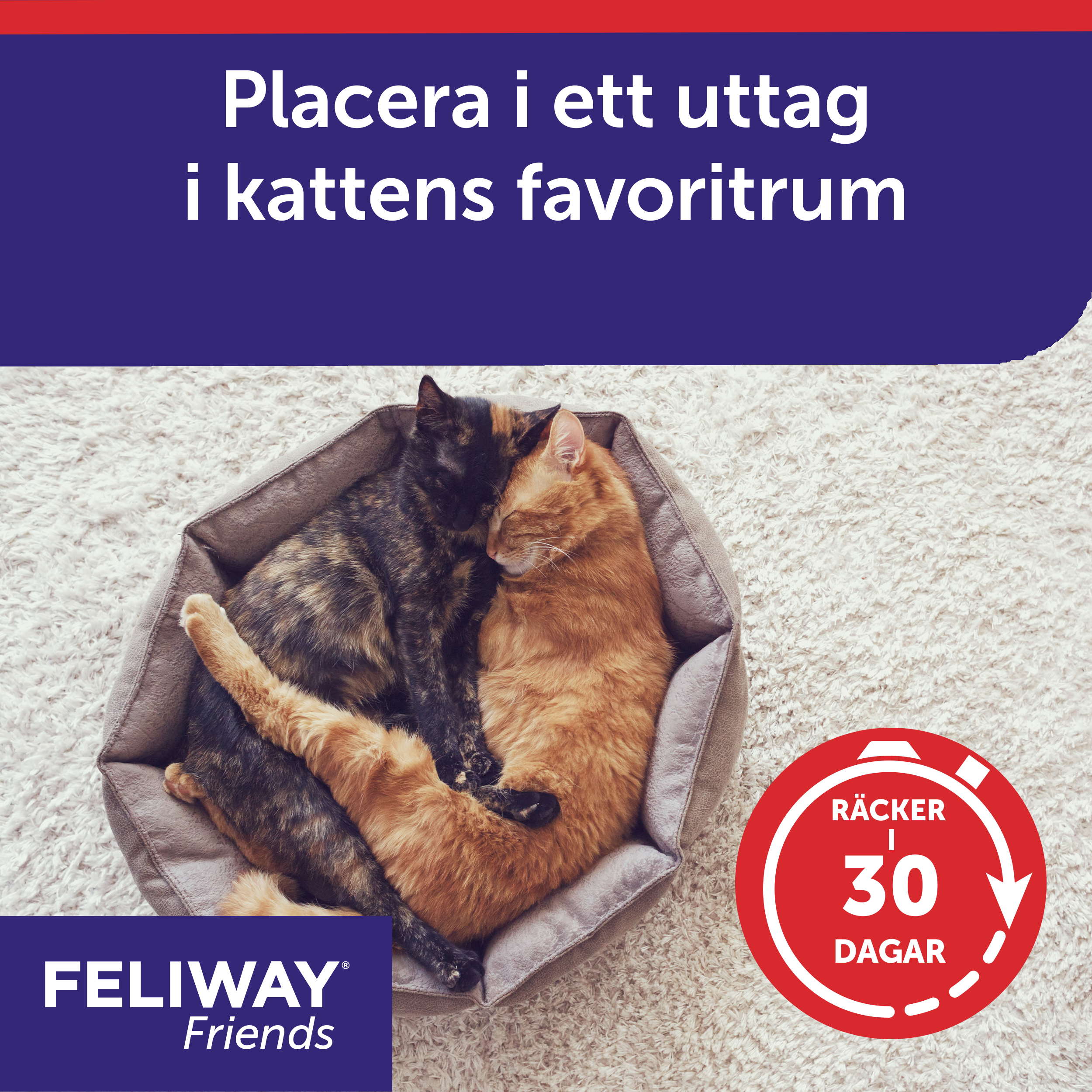 Feliway Friends refill_5_3411112251445.png