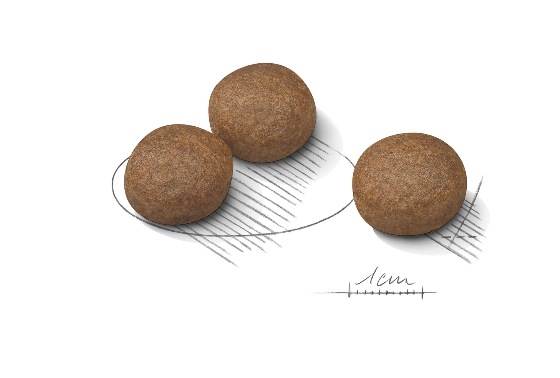 Digestive Care Medium Adult