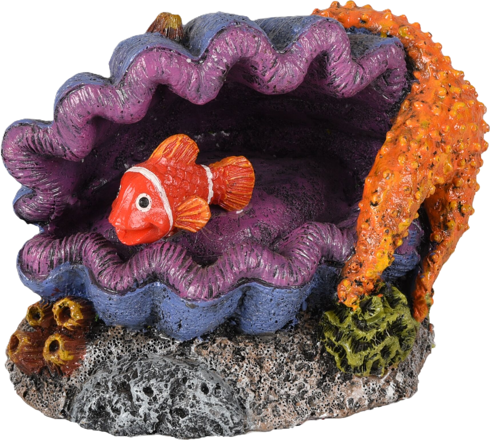 Decoration Leto Shell Fish