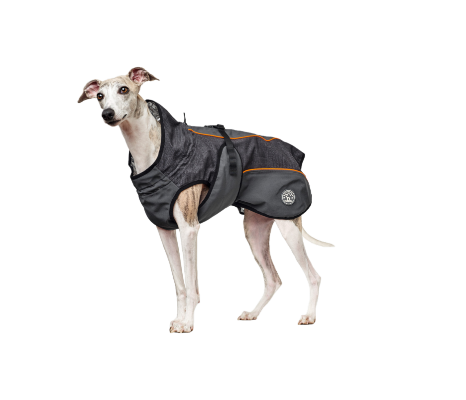 Dog Coat Uppsala Thermo ZOO.no