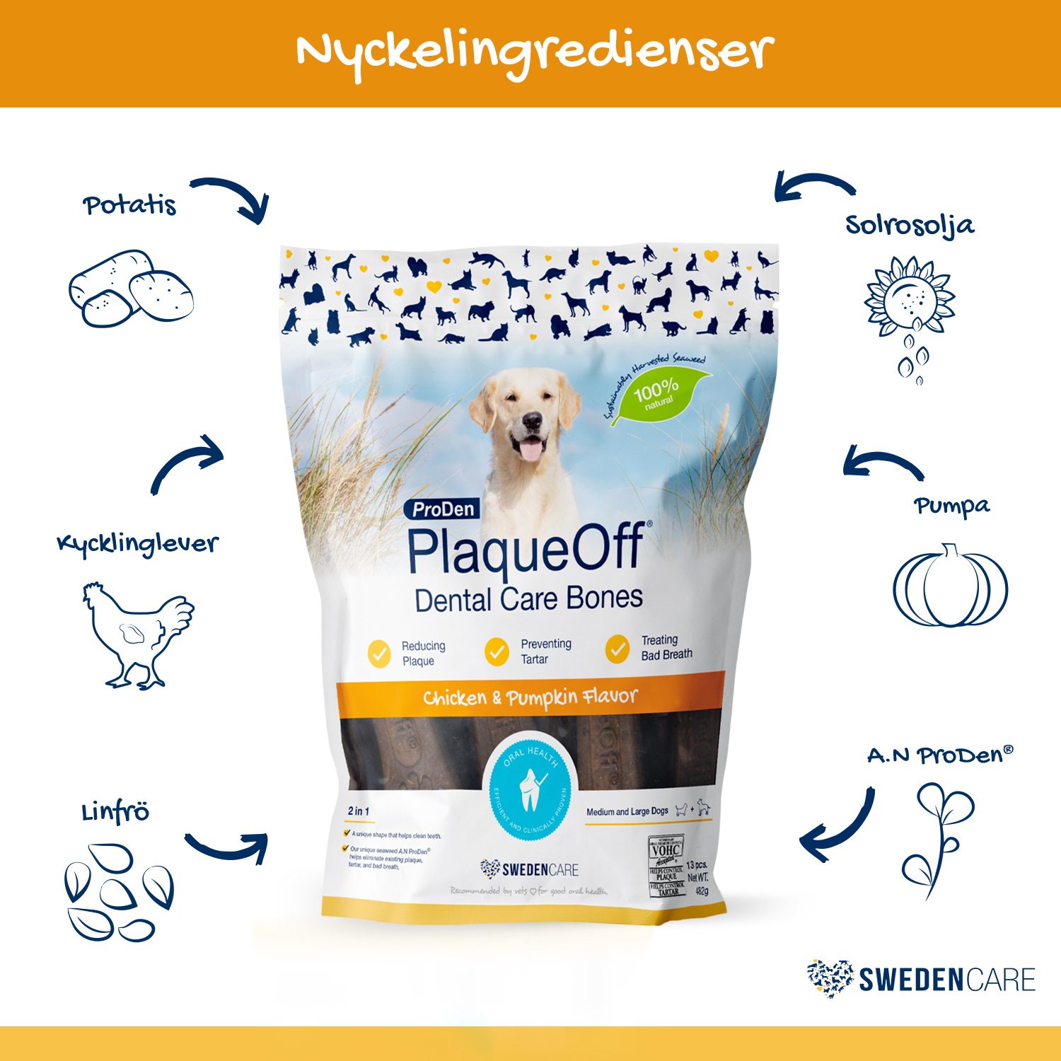 Swedencare_ProDen_PlaqueOff_Dental_Care_Bones_Chic