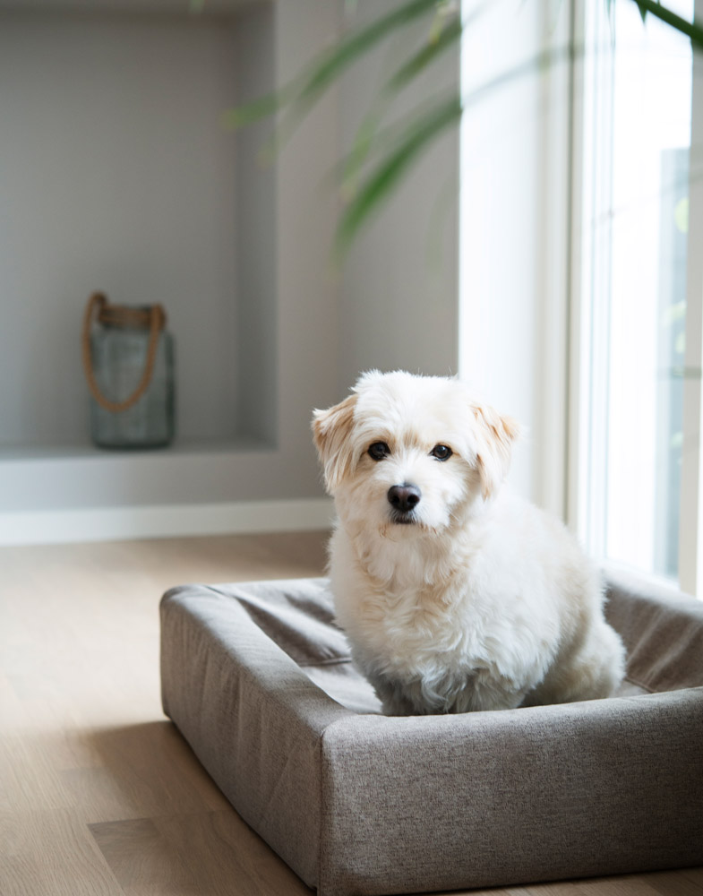 4290, 4291, 4310, 4311 (2).jpg