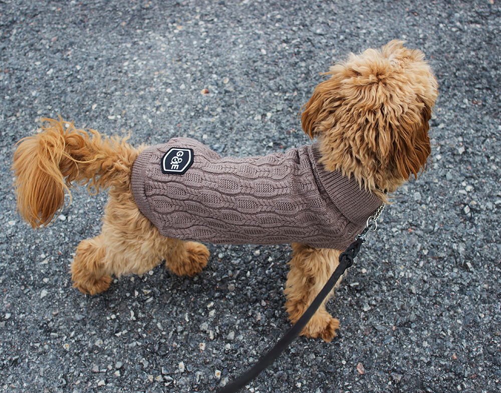 20353, 20536, 20537, 20538, 20539.png