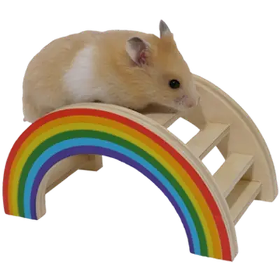 Small Animal Rainbow Play Bridge