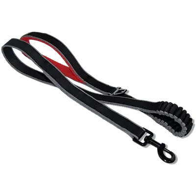 Springback Dog Leash Black/Red 122 cm