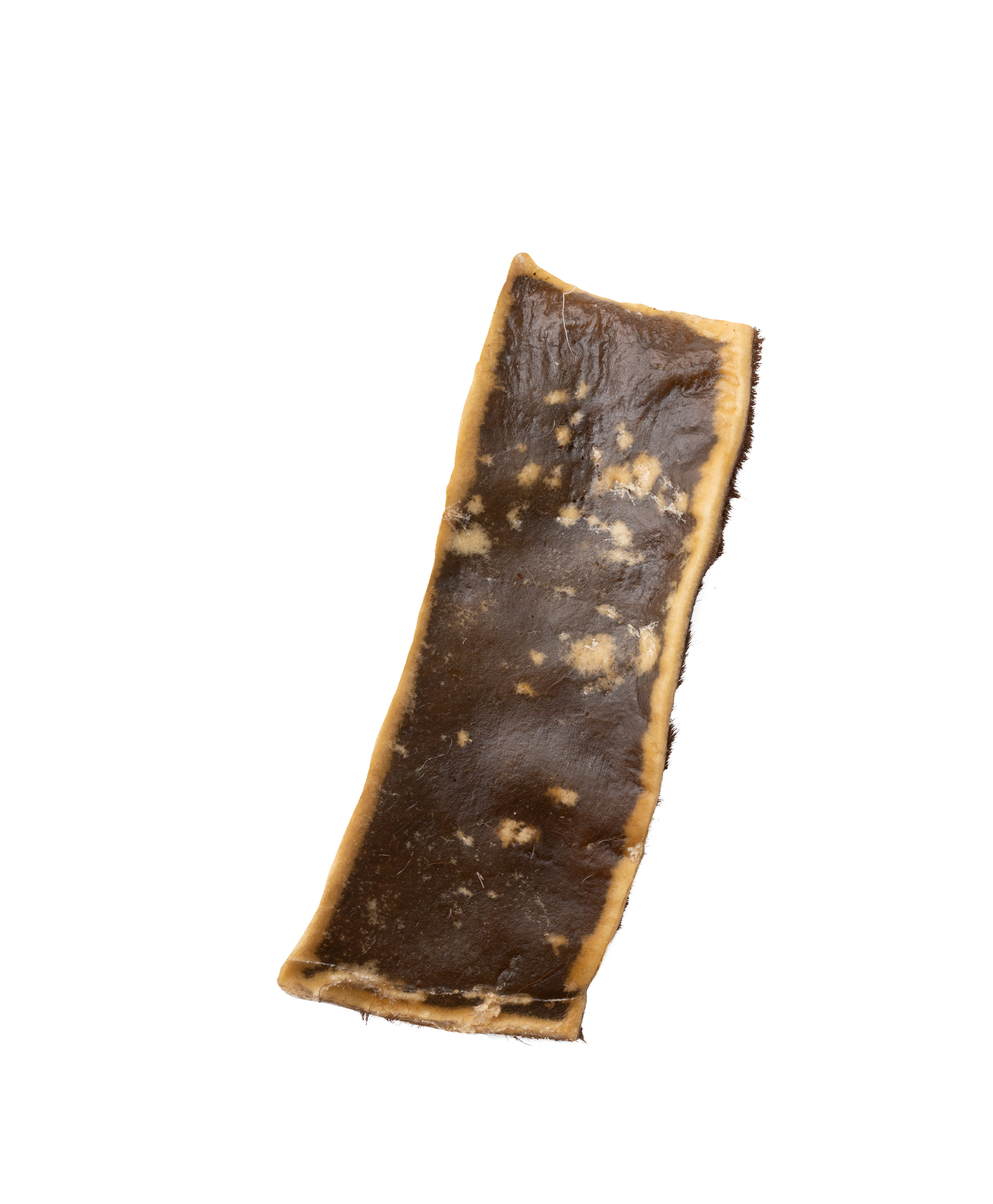 Chips hairy back.png