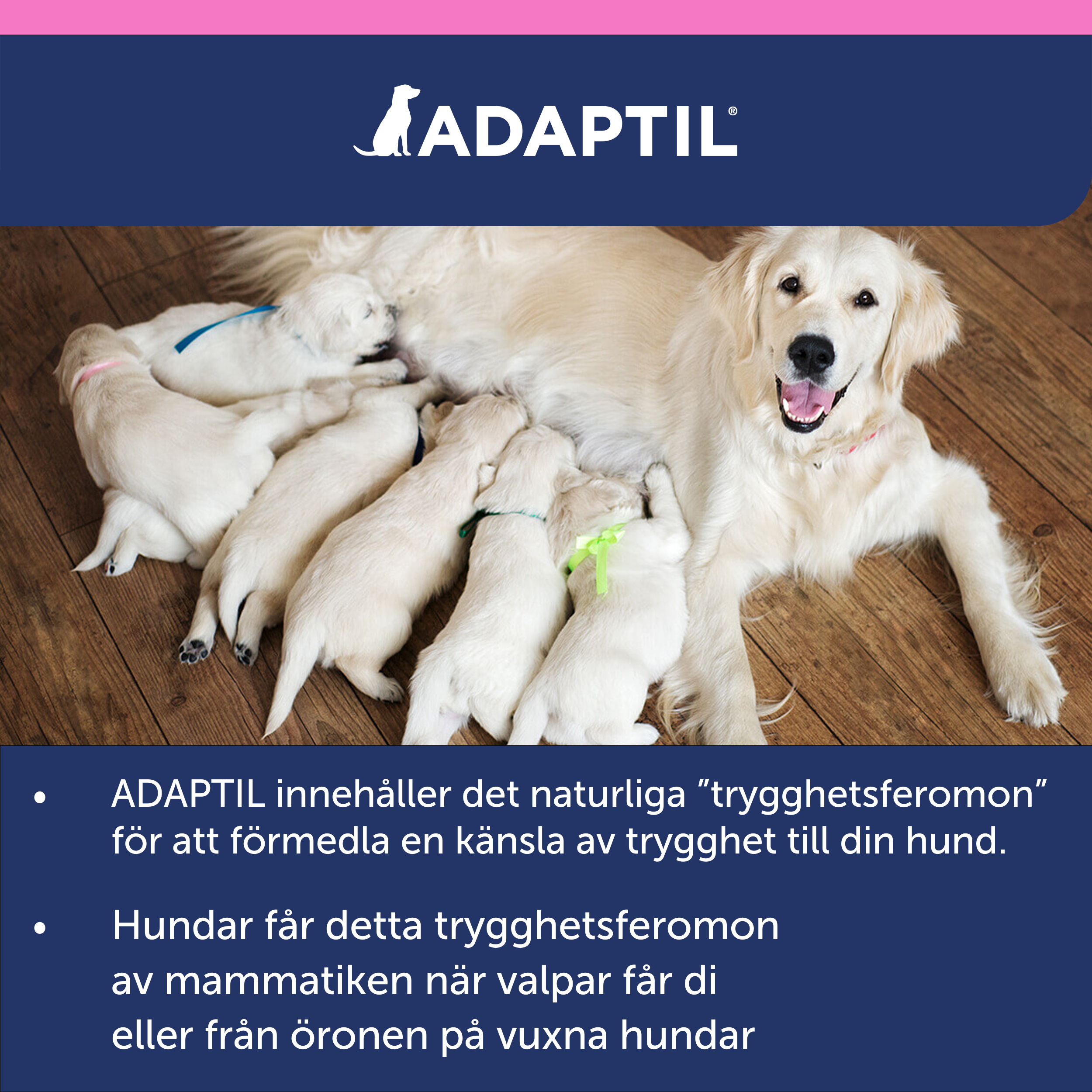 Adaptil Junior halsband_7_3411112940417.jpg