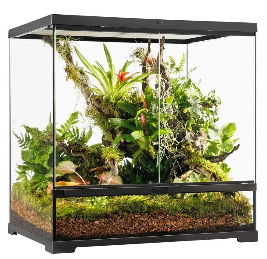 Exo Terra Pro Terrarium Medium Tall - 60 x 45 x 60 cm