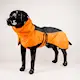 dog-covers-orange.png