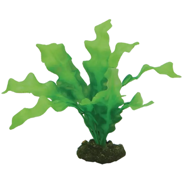 Plastplante Echinodrus 20cm