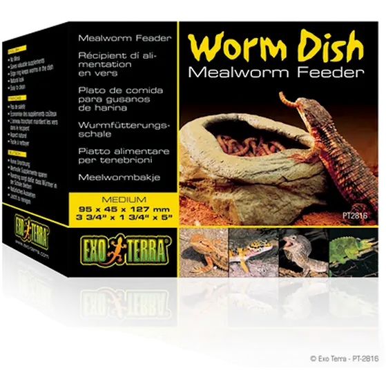 Worm Dish - Mealworm Feeder For Reptiles Brown 13 x 9,5 x 4,5 cm
