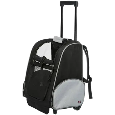 Friends On Tour Trolley Backpack Black 50 x 36 x 27 cm