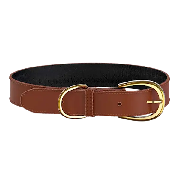 Colorful Collar Brown Large